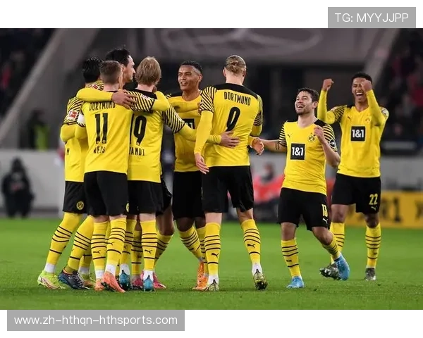 霍芬海姆足球俱乐部：德甲新秀的崛起与挑战